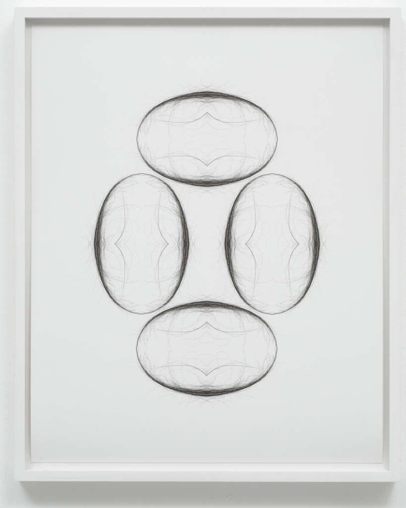 Daniel Andersson, Ohne Titel