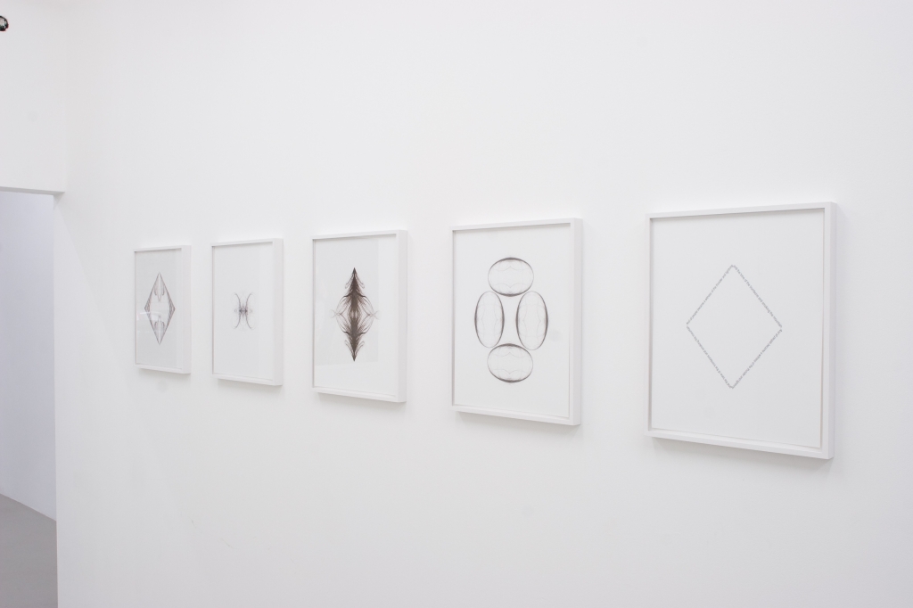 Daniel Andersson, And All People Became a Witness, Installationsansicht