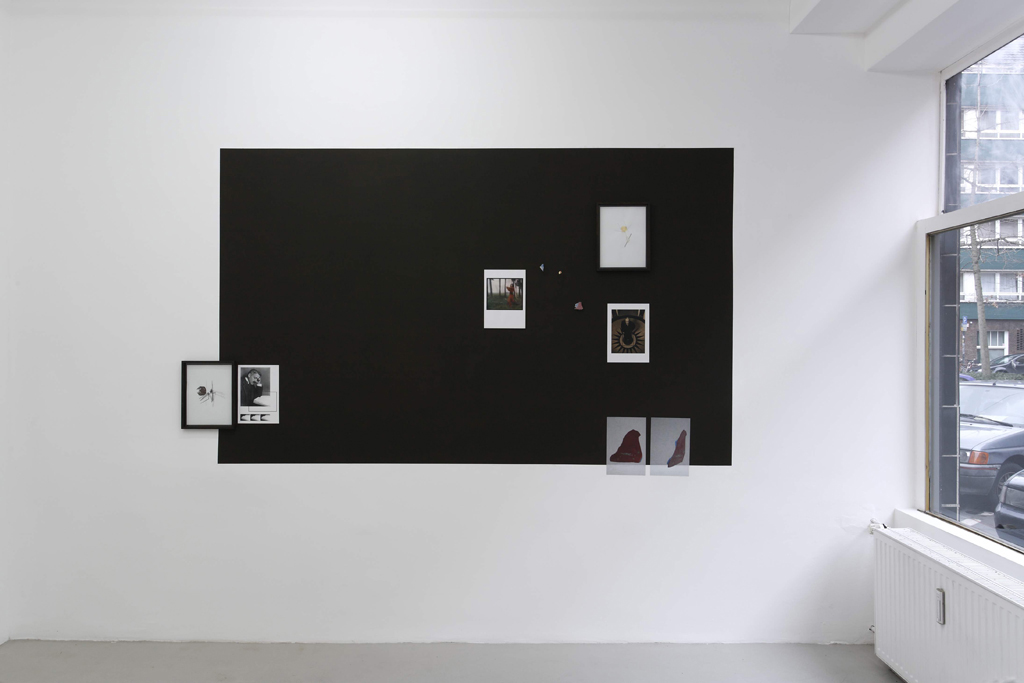 Alberti, Häusler, Marzewski, exotic resistance