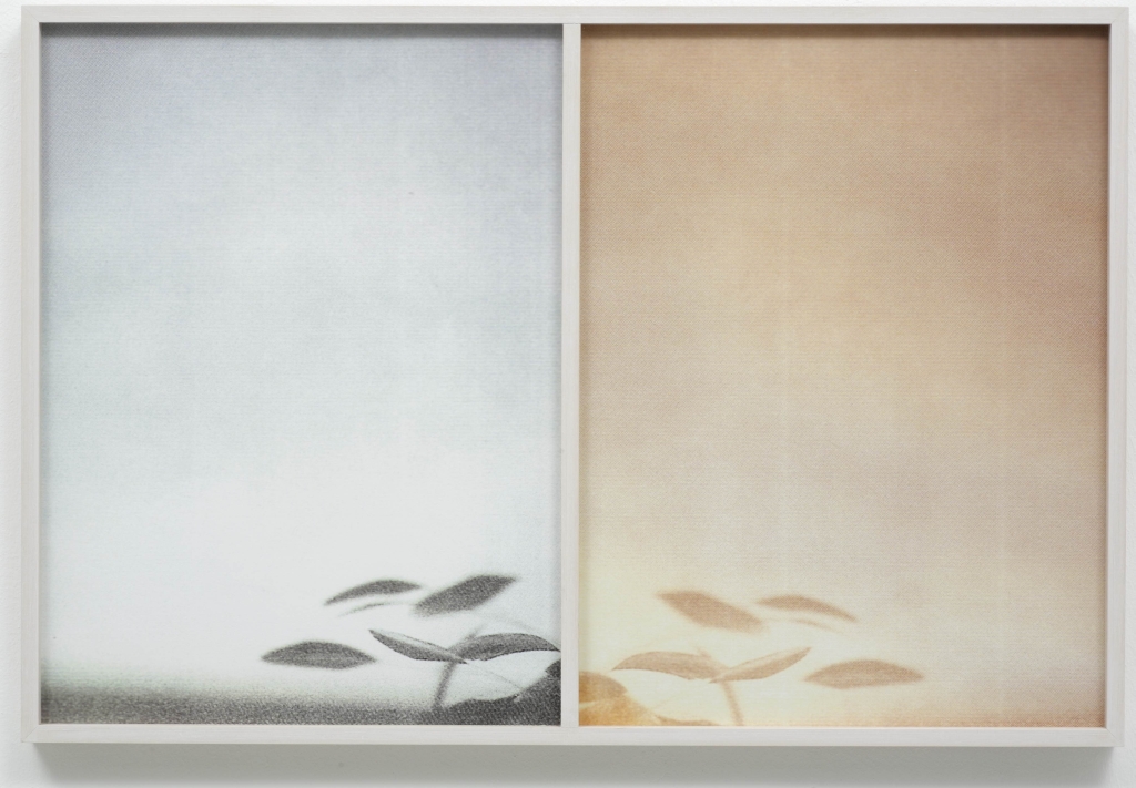 Thomas Judin, from trip to dip
