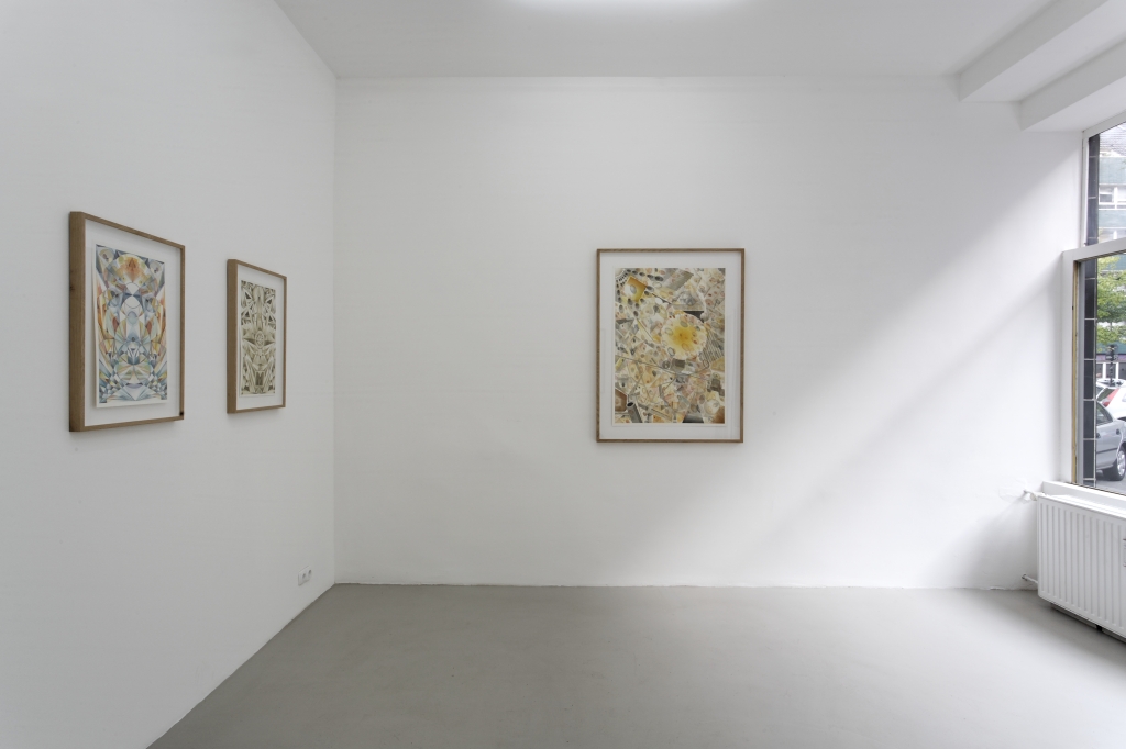 Fredrik Soederberg, everythings entity